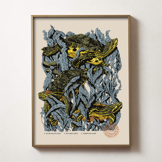 Pond Sliders Print