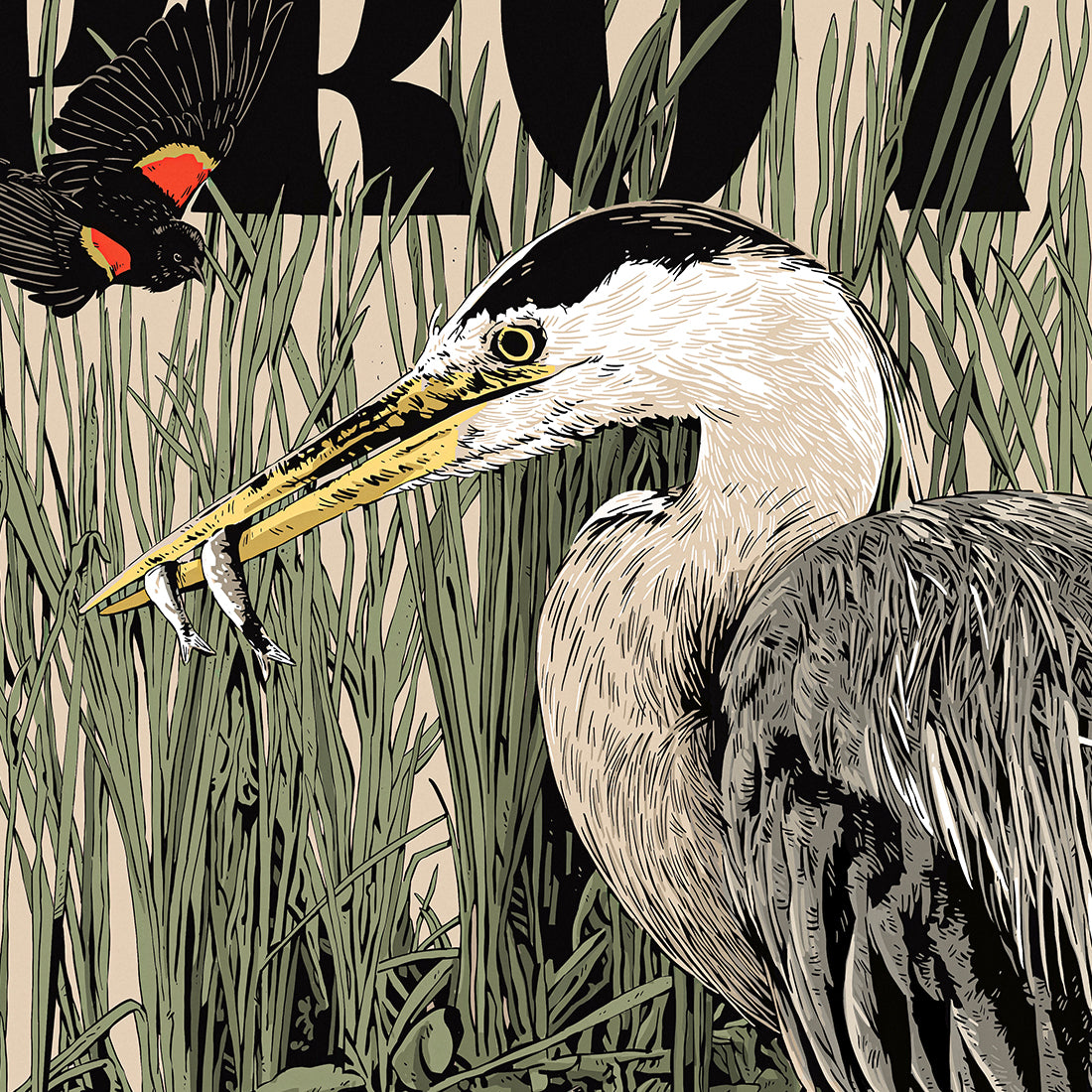 Protect Wetlands Poster