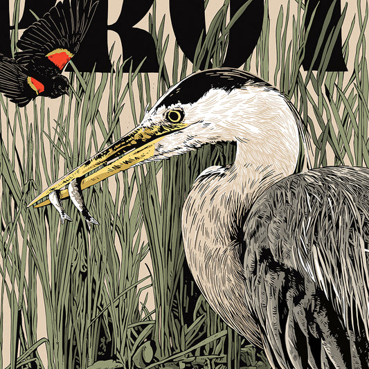 Protect Wetlands Poster
