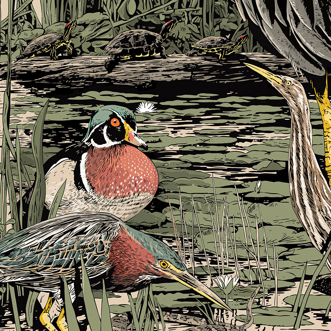 Protect Wetlands Poster