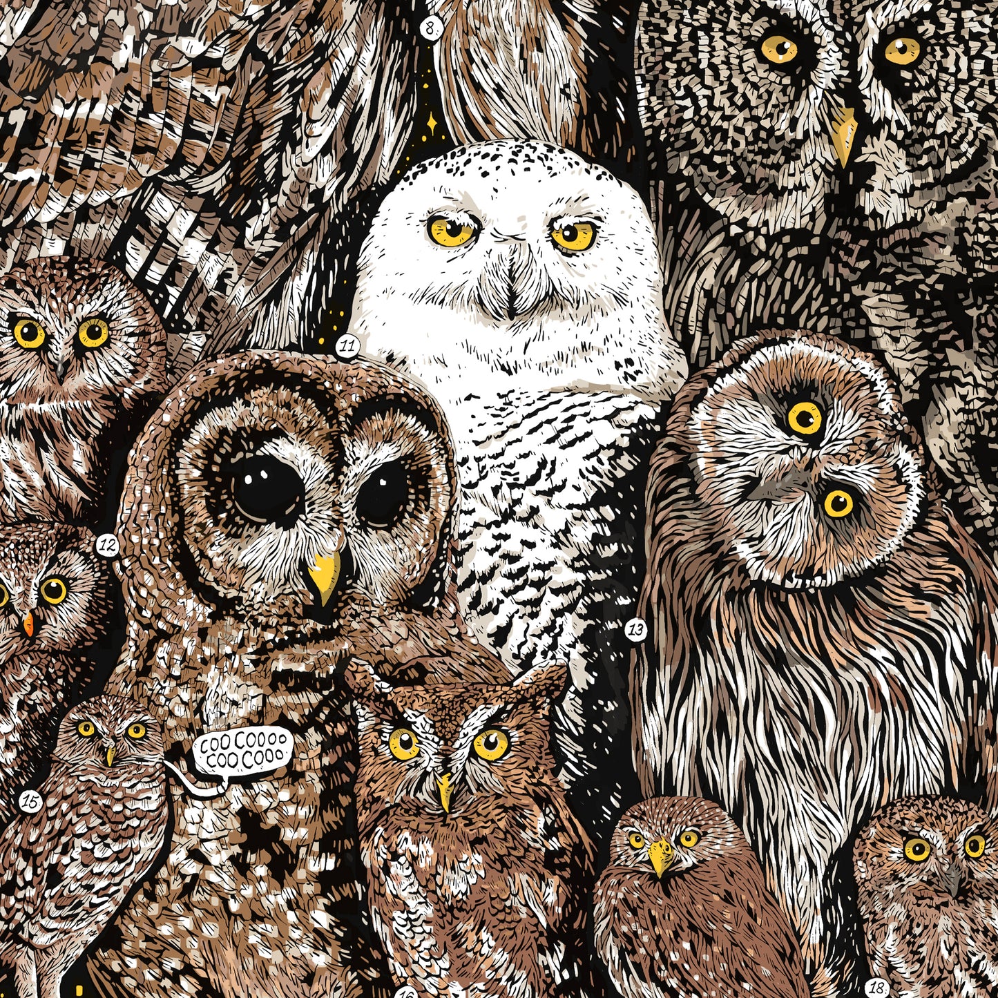 Owls of North America Print