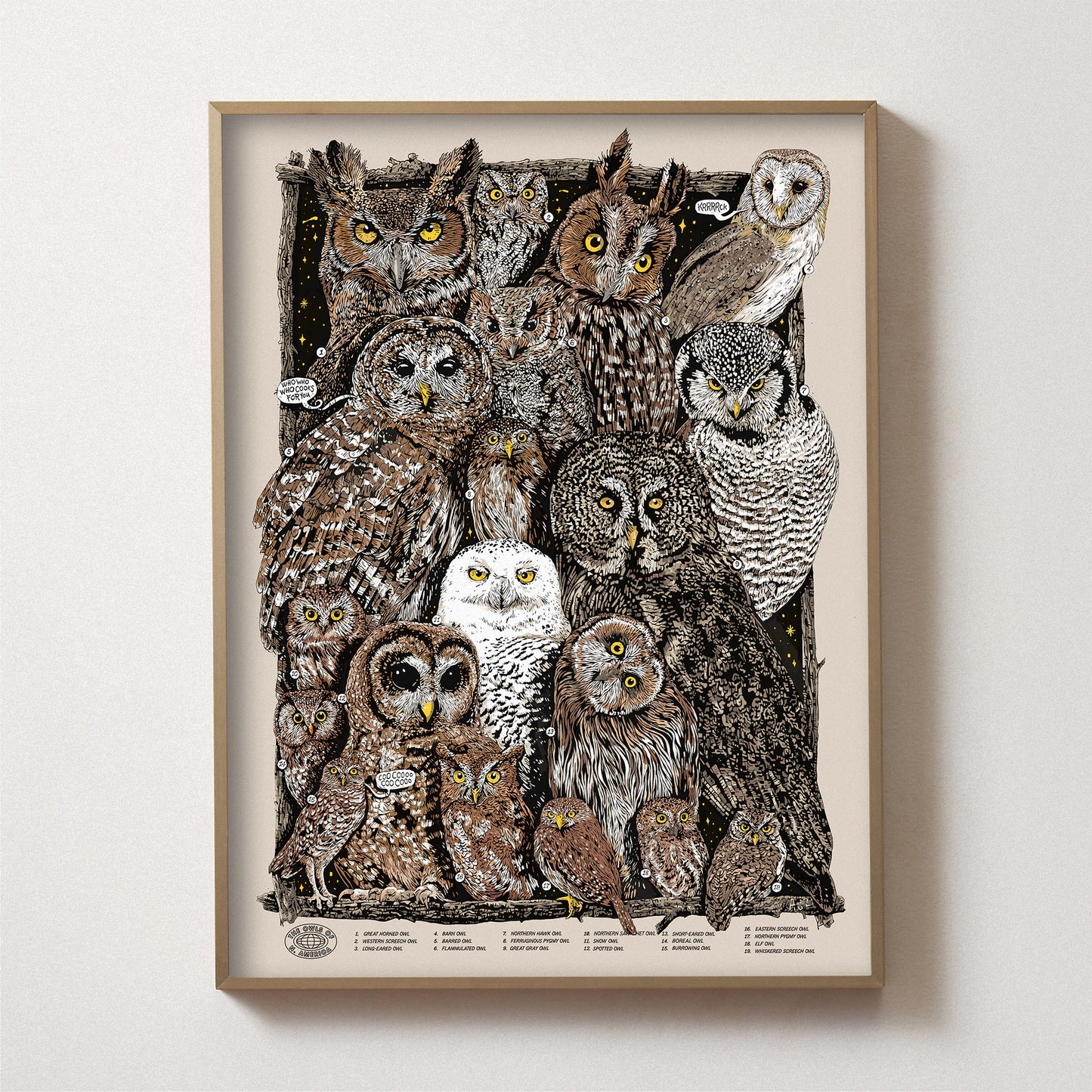 Owls of North America Print