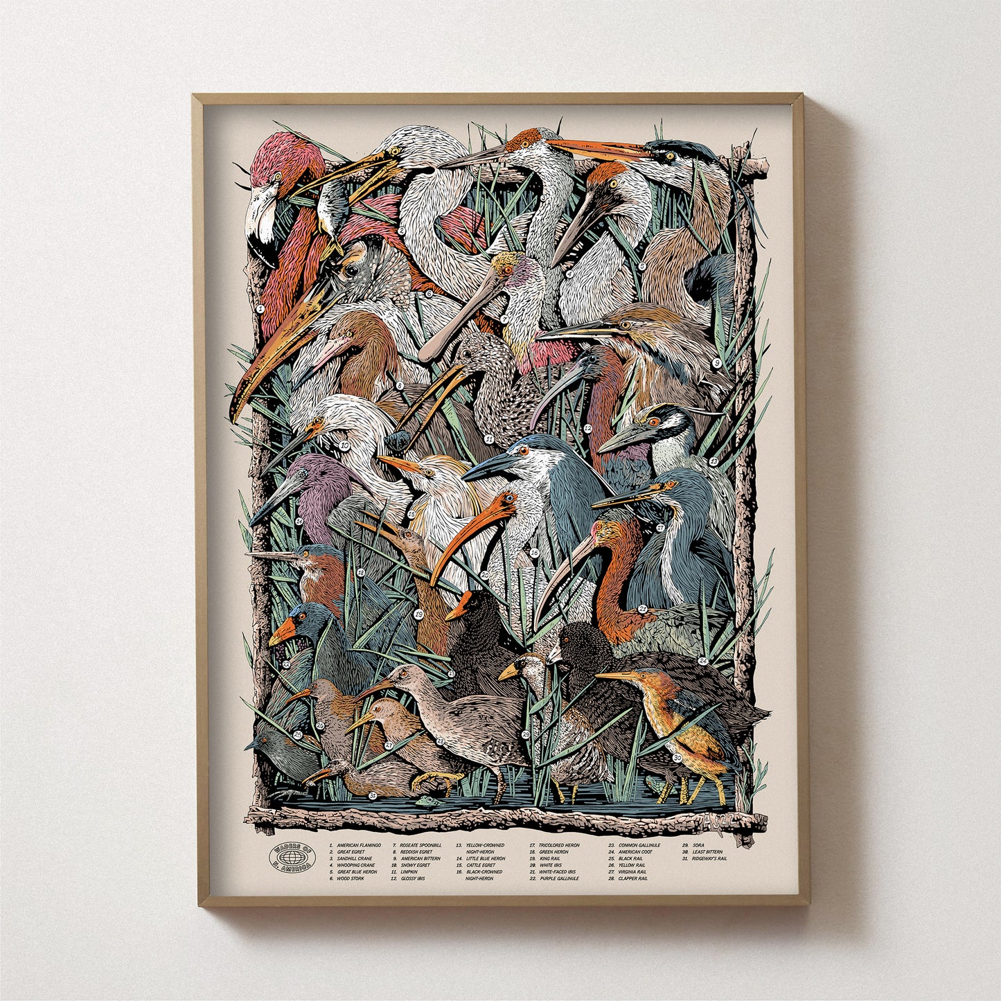 Waders of North America Print