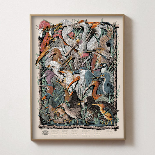 Waders of North America Print