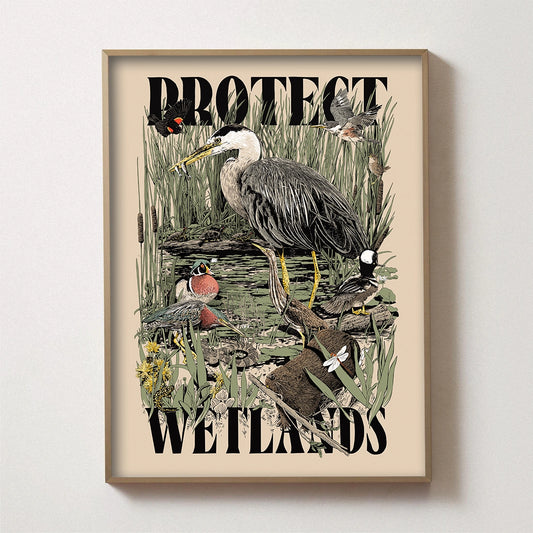 Protect Wetlands Poster