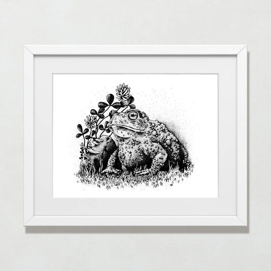 Garden Toad Print