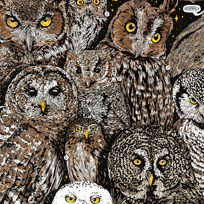 Owls of North America Print